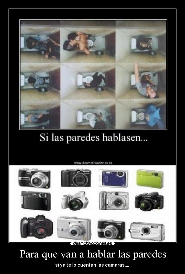 Para que van a hablar las paredes -