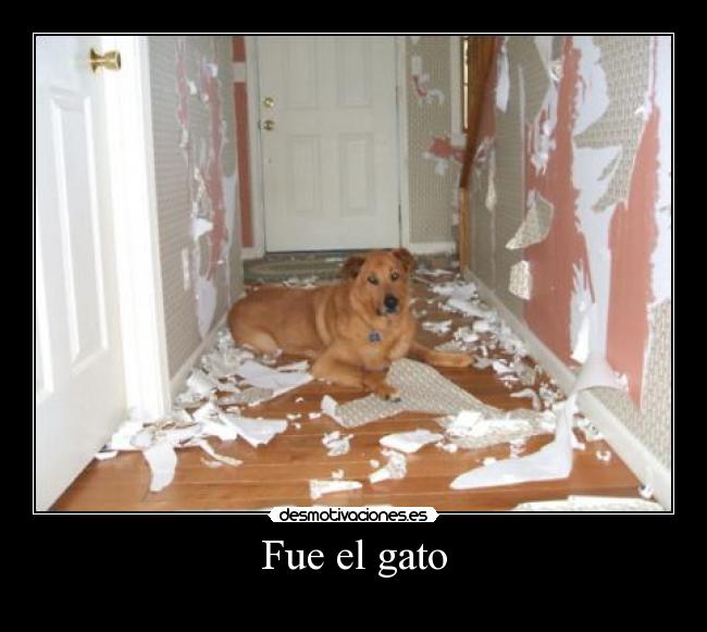 carteles agente 007 net lol haces como lograste leer esto desmotivaciones