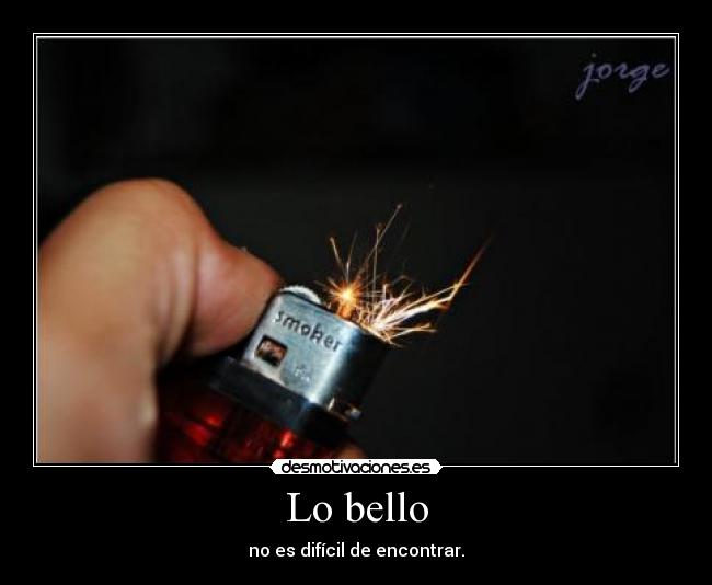 Lo bello - 