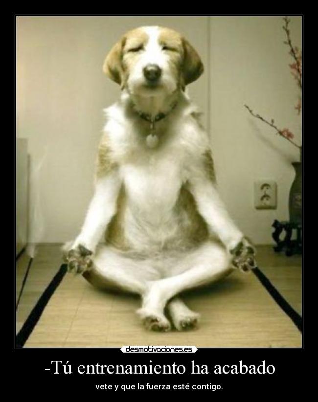 -Tú entrenamiento ha acabado -