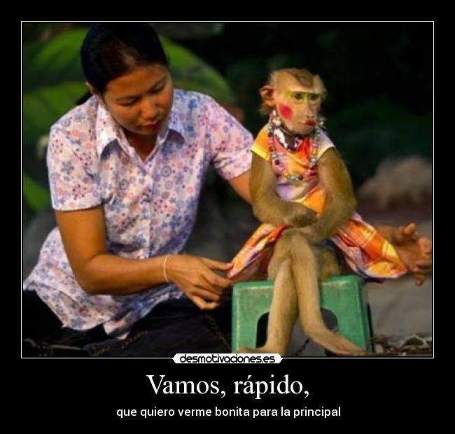 Vamos, rápido, - que quiero verme bonita para la principal