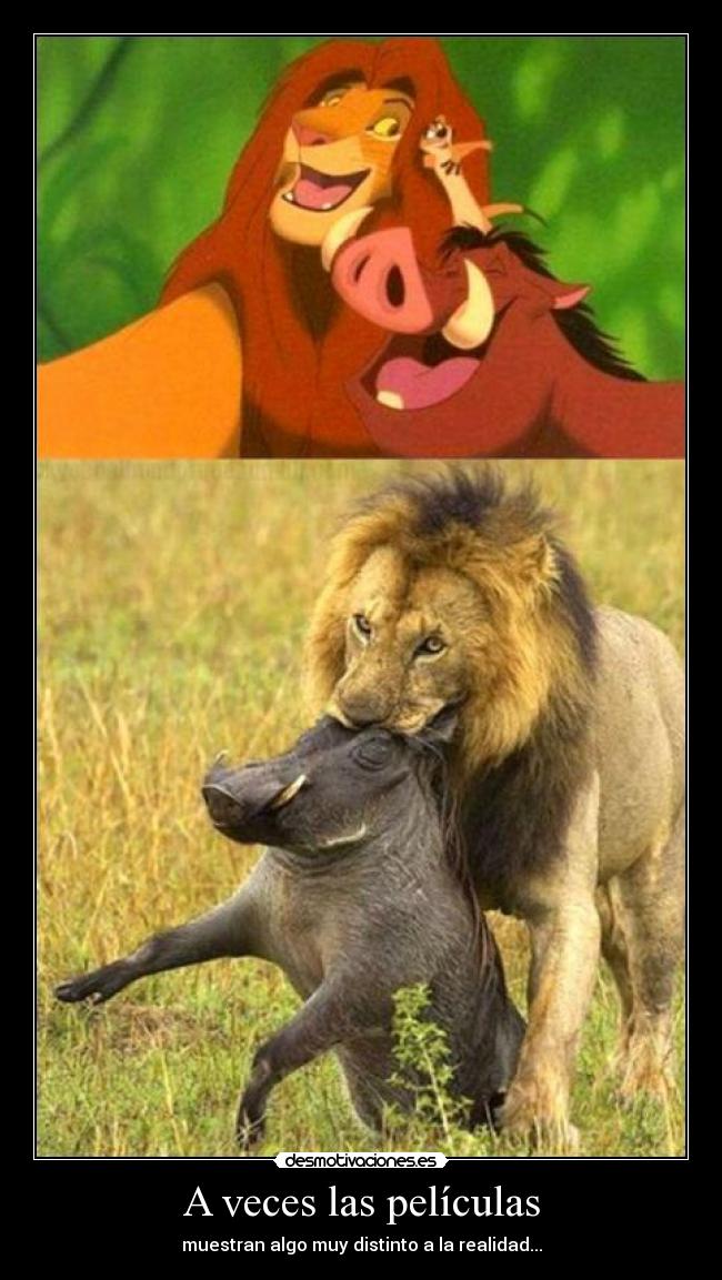 A veces las películas - muestran algo muy distinto a la realidad...