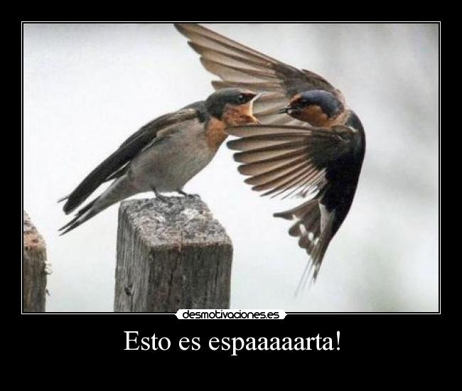Esto es espaaaaarta! -