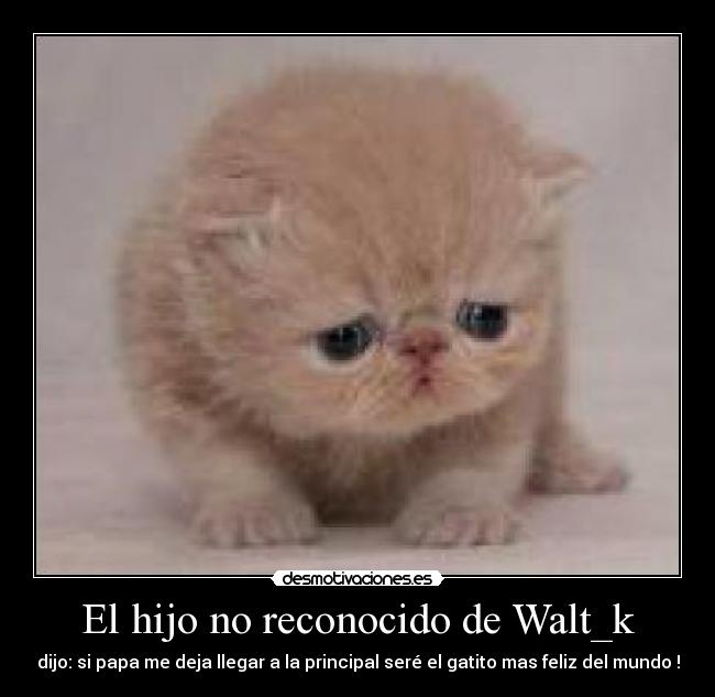 El hijo no reconocido de Walt_k -
