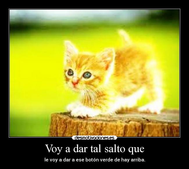 Voy a dar tal salto que - 