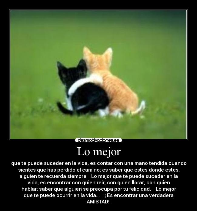 carteles mary_perez desmotivaciones