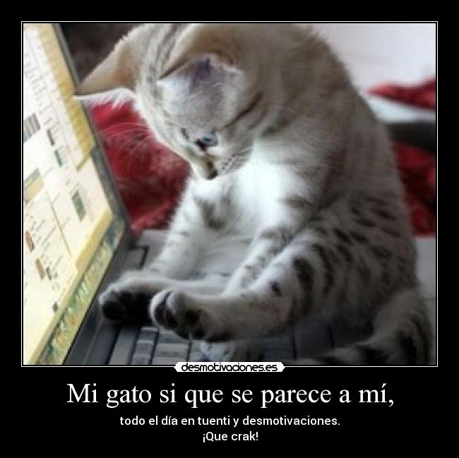 Mi gato si que se parece a mí, - todo el día en tuenti y desmotivaciones.
¡Que crak!