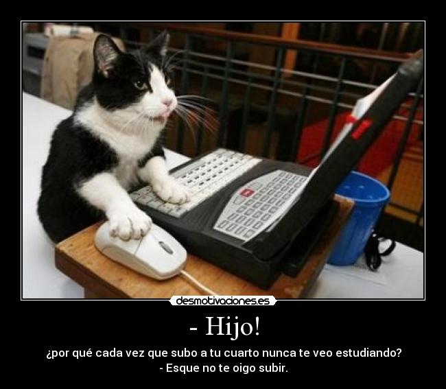 - Hijo! - 