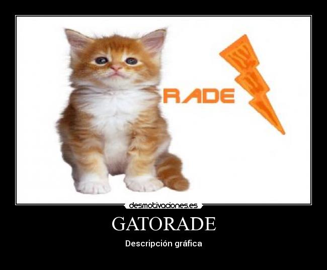 carteles gatorade gato rade desmotivaciones