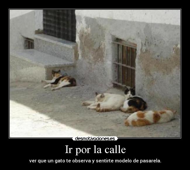 Ir por la calle -
