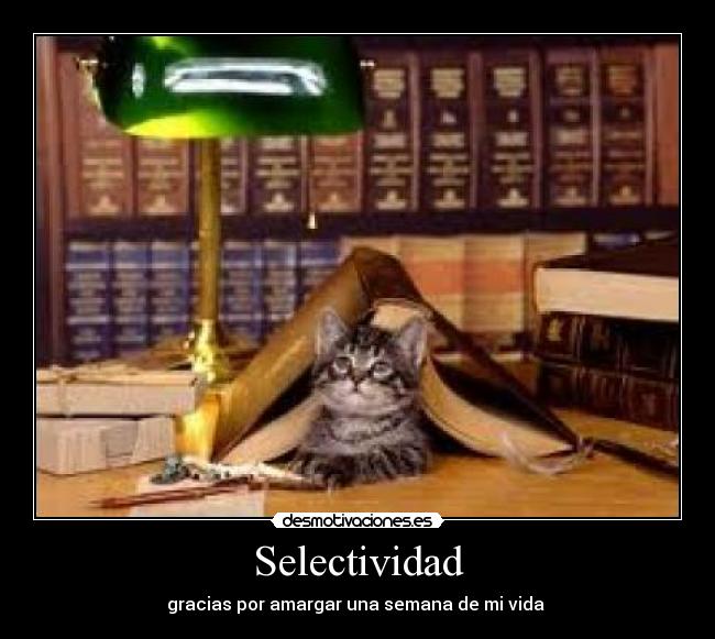 Selectividad - 