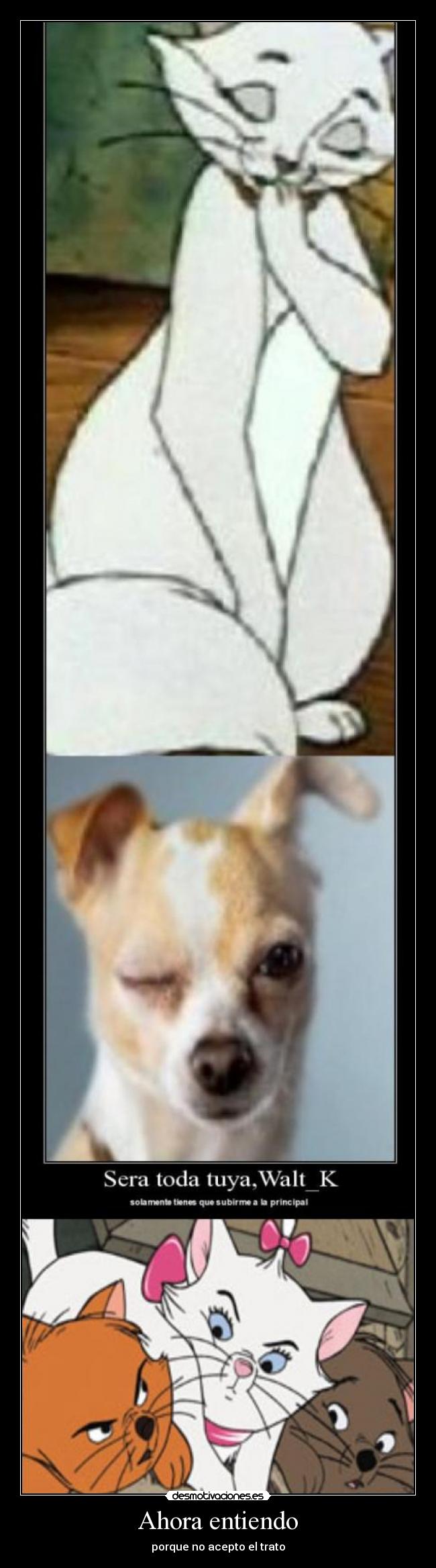 Ahora entiendo - porque no acepto el trato