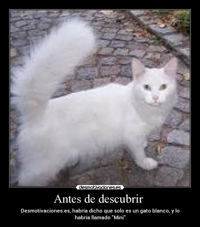 Antes de descubrir  - 