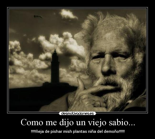 Como me dijo un viejo sabio... - 