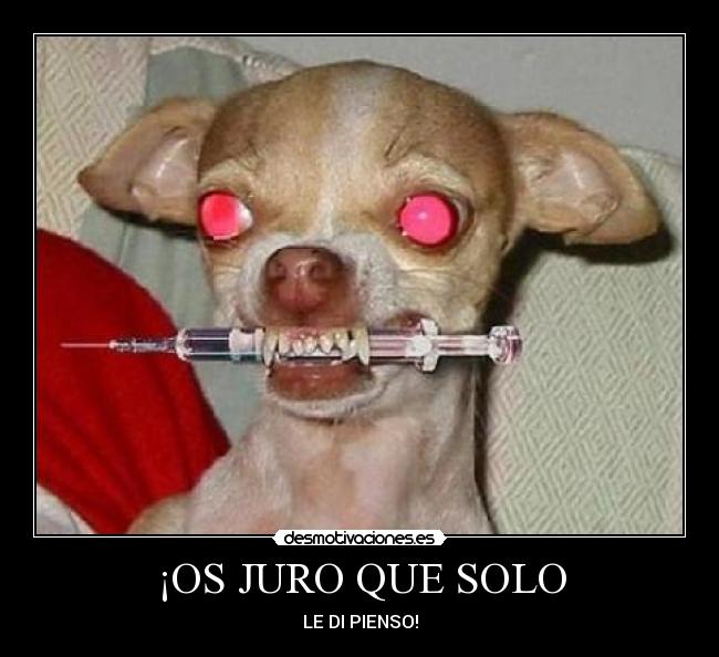 ¡OS JURO QUE SOLO - LE DI PIENSO!