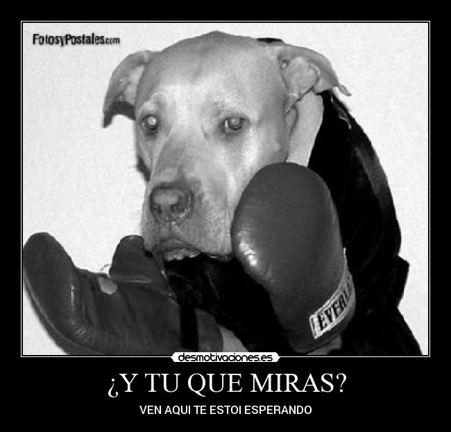 ¿Y TU QUE MIRAS? - VEN AQUI TE ESTOI ESPERANDO