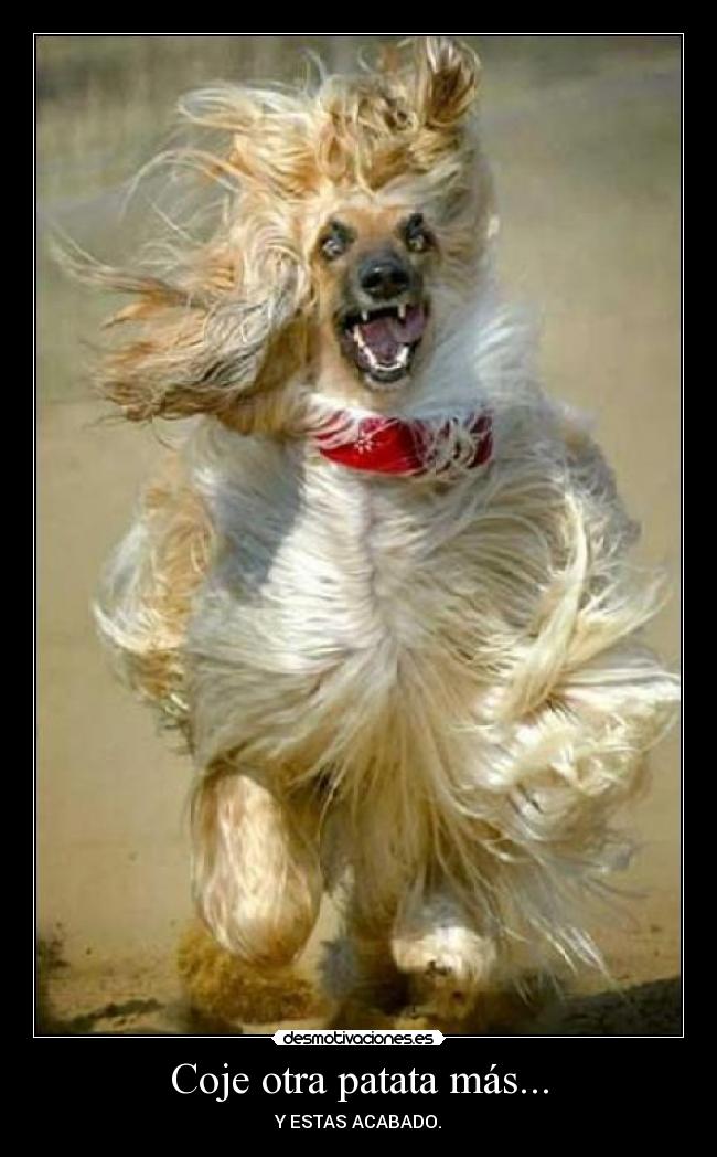 Coje otra patata más... - Y ESTAS ACABADO.