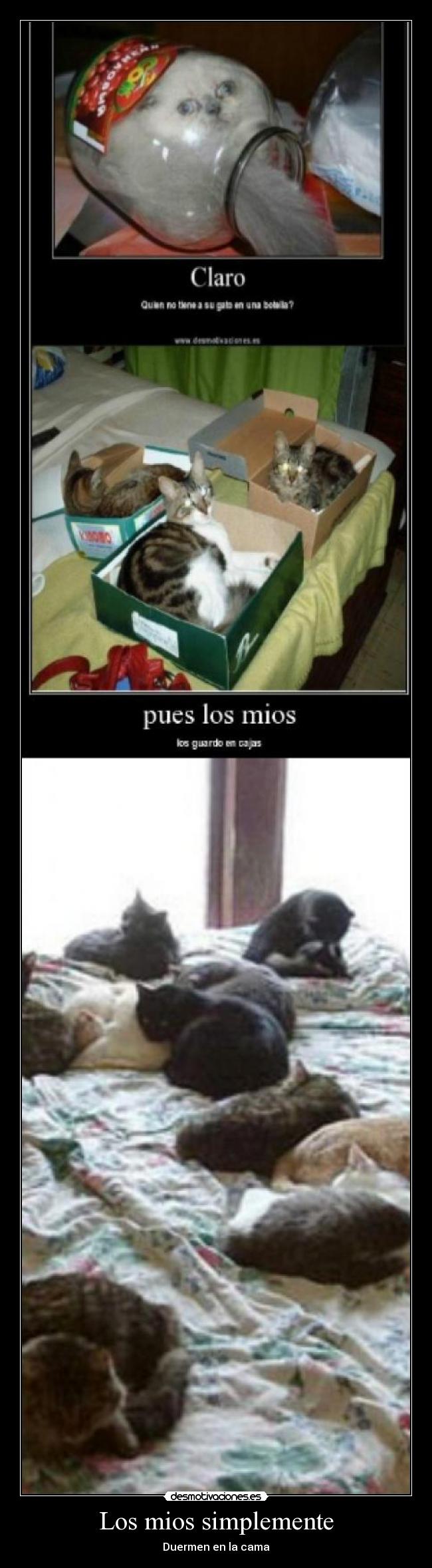 carteles jordimauri desmotivaciones