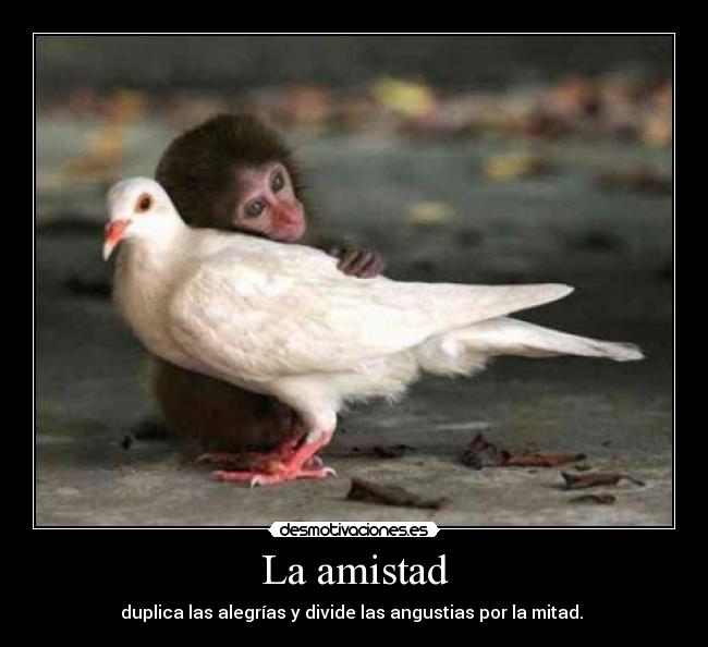 La amistad - duplica las alegrías y divide las angustias por la mitad. 