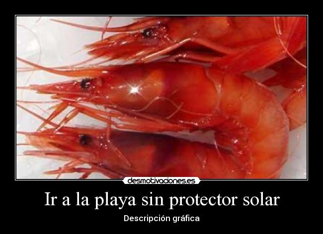 Ir a la playa sin protector solar - Descripción gráfica