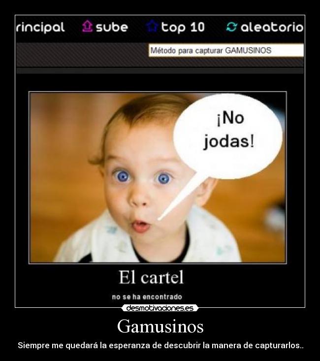 Gamusinos - Siempre me quedará la esperanza de descubrir la manera de capturarlos..