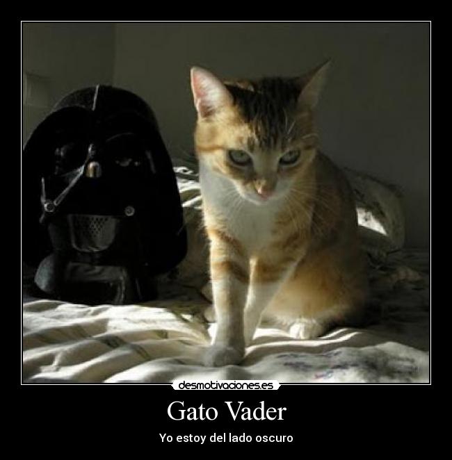 Gato Vader - 