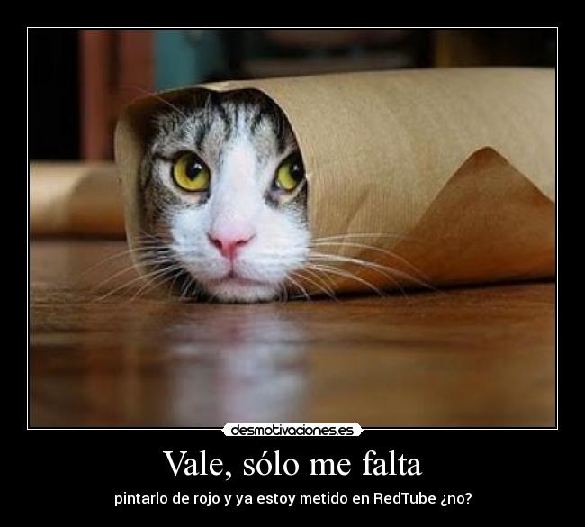 Vale, sólo me falta -