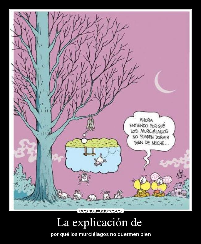 La explicación de - por qué los murciélagos no duermen bien