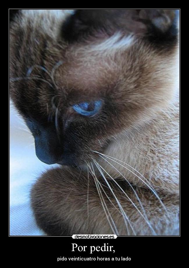 carteles donetzakit_ desmotivaciones