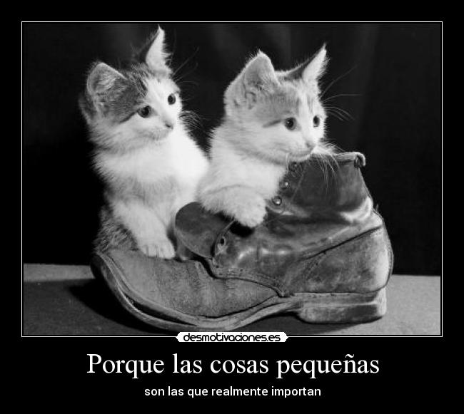 Porque las cosas pequeñas -