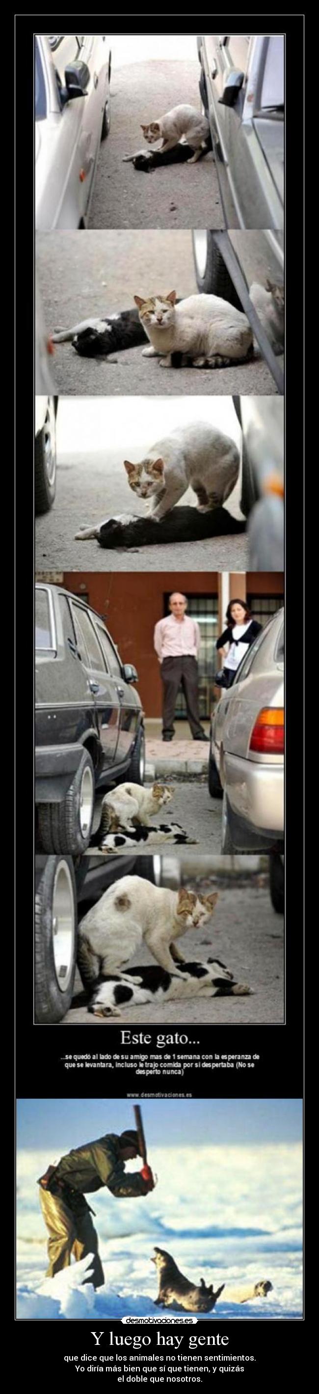 Y luego hay gente - que dice que los animales no tienen sentimientos.
Yo diría más bien que sí que tienen, y quizás
el doble que nosotros.