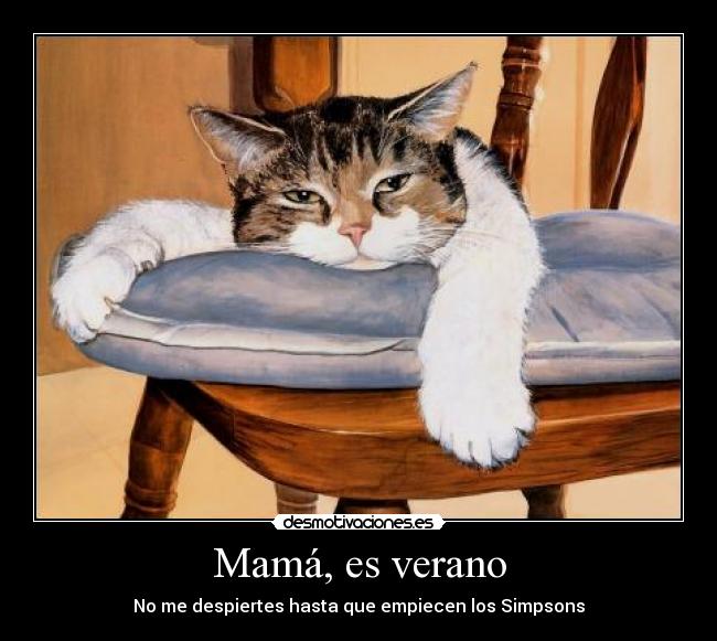 carteles verano gato desmotivaciones