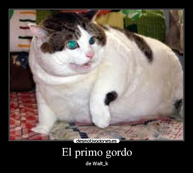 El primo gordo - de Walt_k