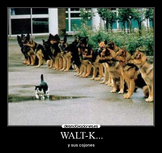 WALT-K... - 