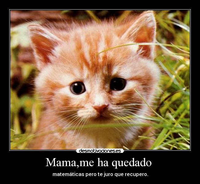 Mama,me ha quedado - matemáticas pero te juro que recupero.