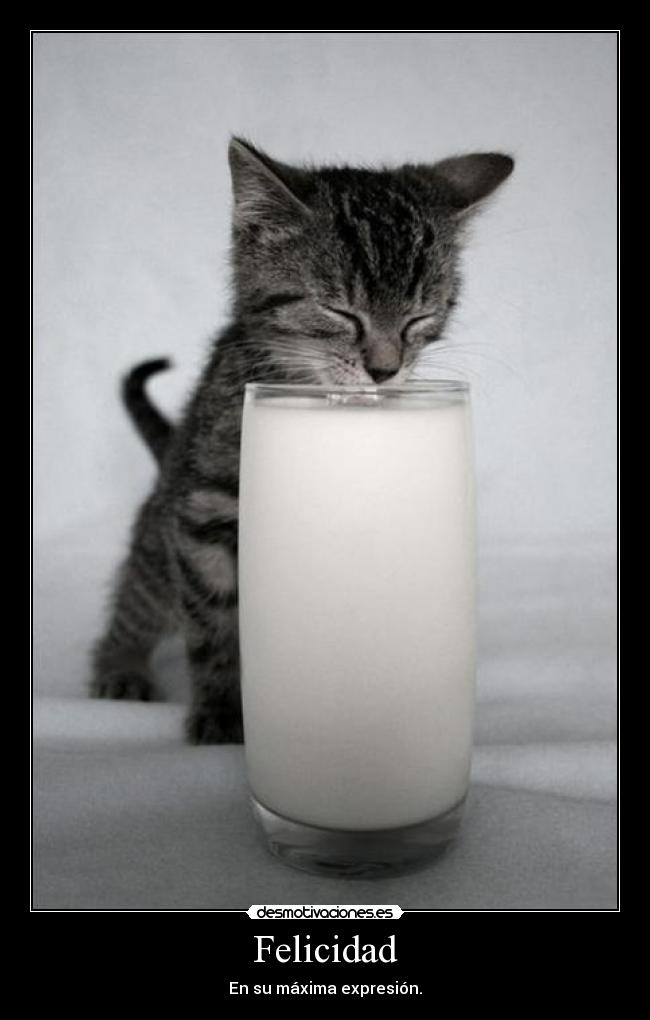 Felicidad - En su máxima expresión.