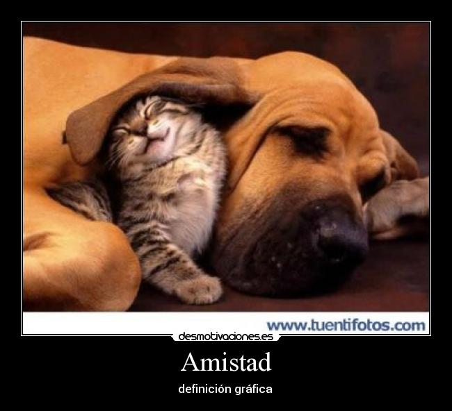 Amistad - definición gráfica