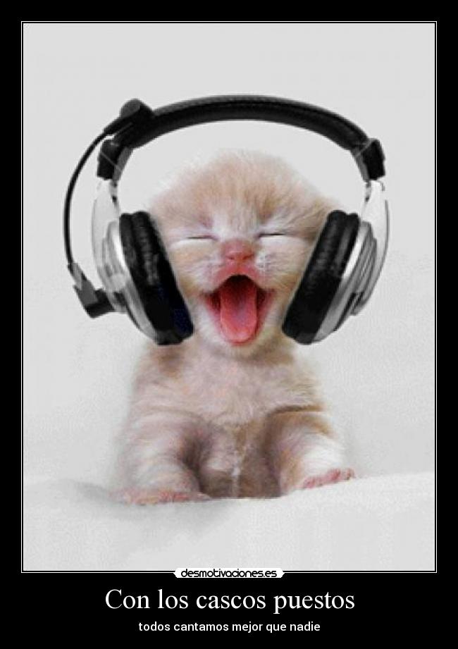 Con los cascos puestos -