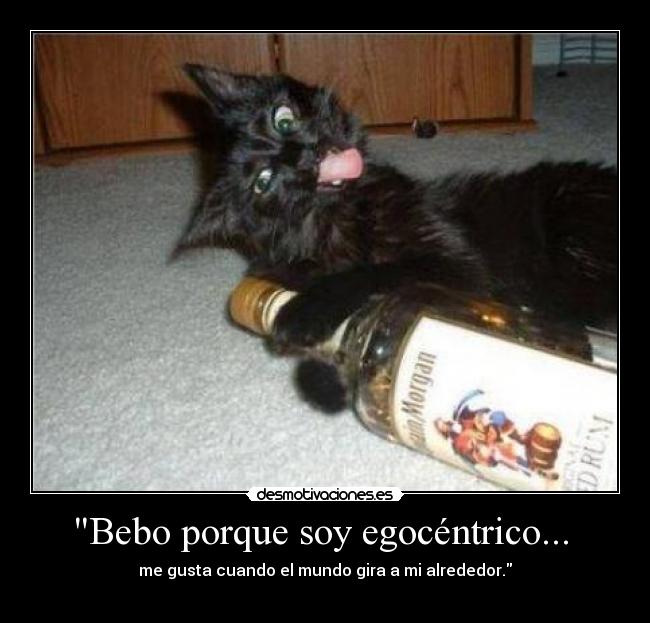 Bebo porque soy egocéntrico...  - me gusta cuando el mundo gira a mi alrededor.
