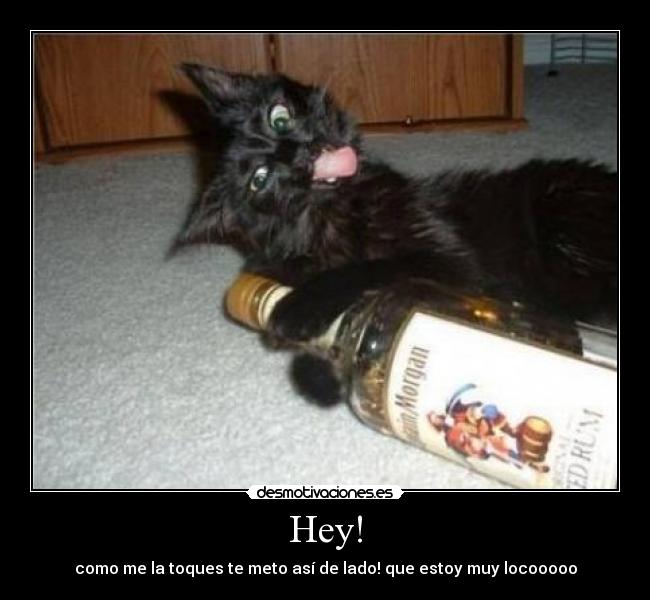 Hey! - como me la toques te meto así de lado! que estoy muy locooooo