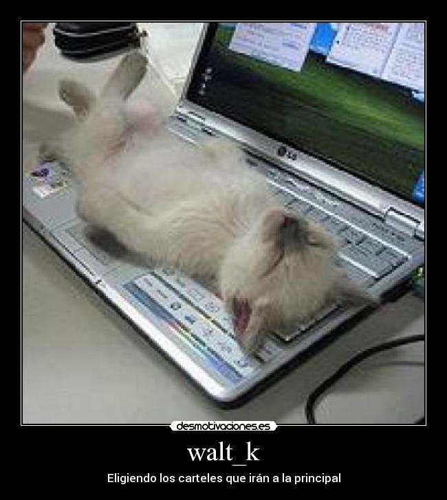 carteles walt_k eligiendo los carteles que iran principal desmotivaciones pyrushell chuck norris desmotivaciones