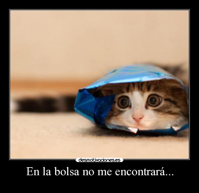En la bolsa no me encontrará... -