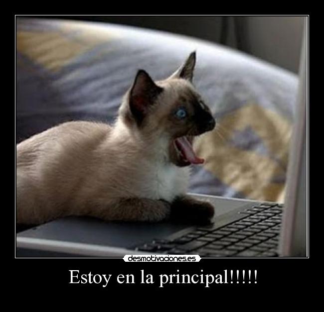 Estoy en la principal!!!!! - 