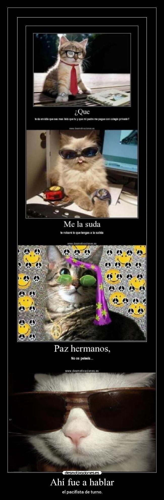 Ahí fue a hablar - el pacifista de turno.