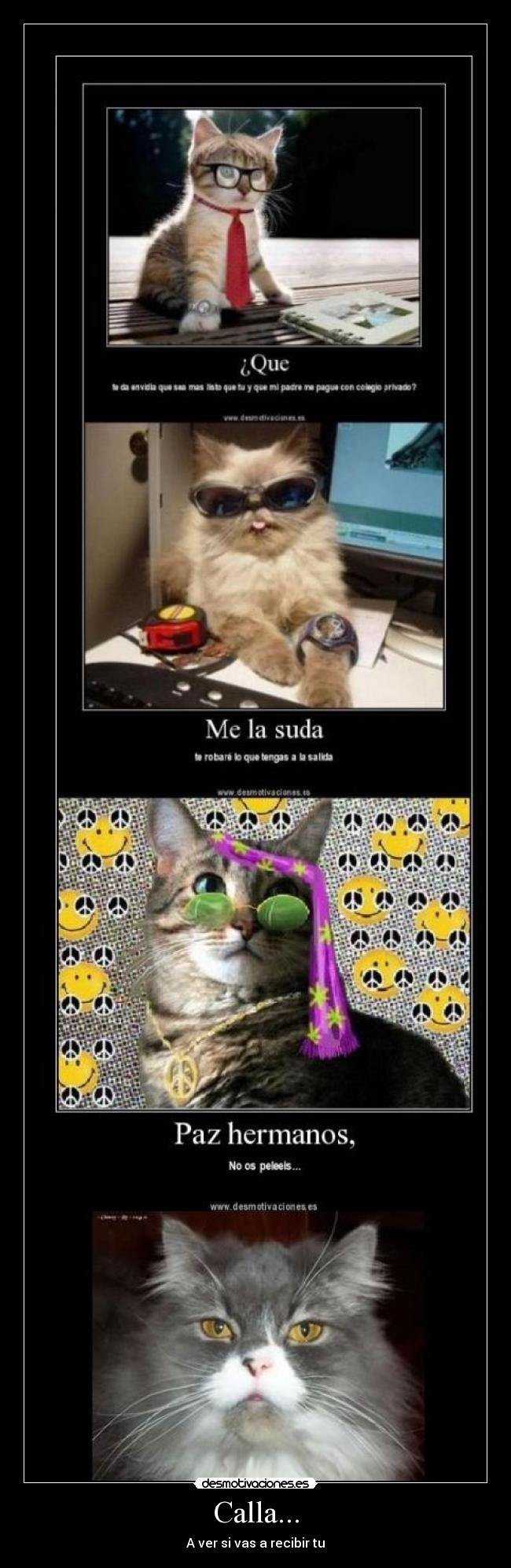 Calla... - A ver si vas a recibir tu