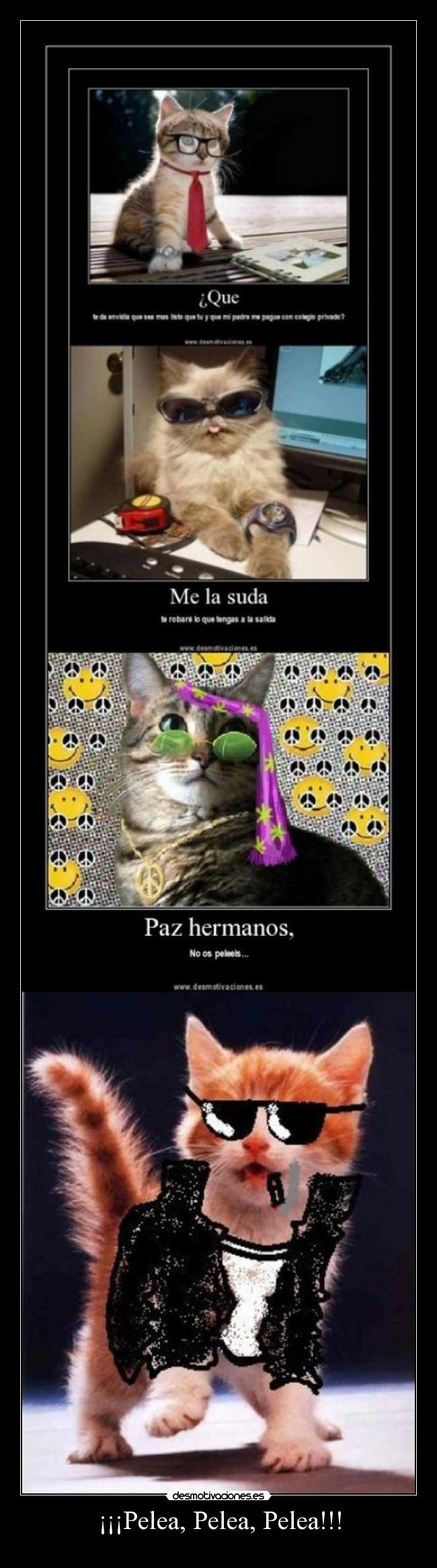 carteles pauesquii12 desmotivaciones