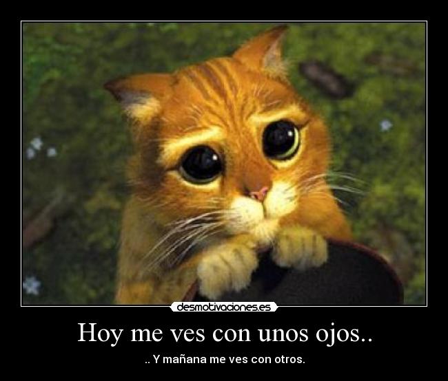 Hoy me ves con unos ojos.. - 