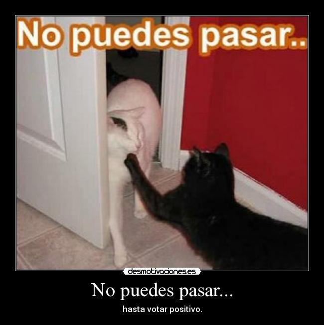 No puedes pasar... - hasta votar positivo.