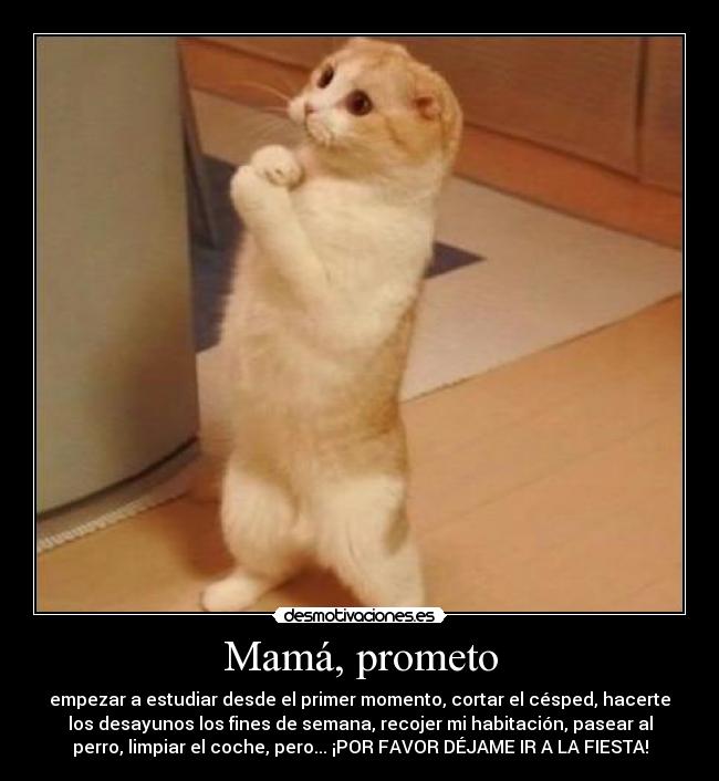 Mamá, prometo - empezar a estudiar desde el primer momento, cortar el césped, hacerte
los desayunos los fines de semana, recojer mi habitación, pasear al
perro, limpiar el coche, pero... ¡POR FAVOR DÉJAME IR A LA FIESTA!