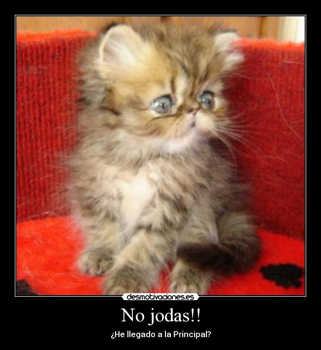 No jodas!! - 